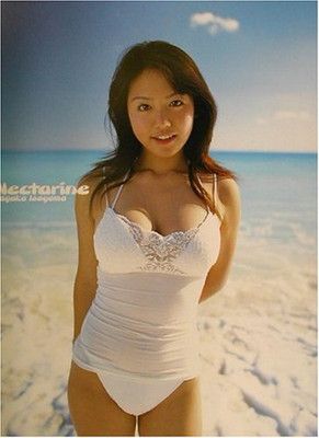 Nectarine: 磯山さやか写真集 山岸 伸