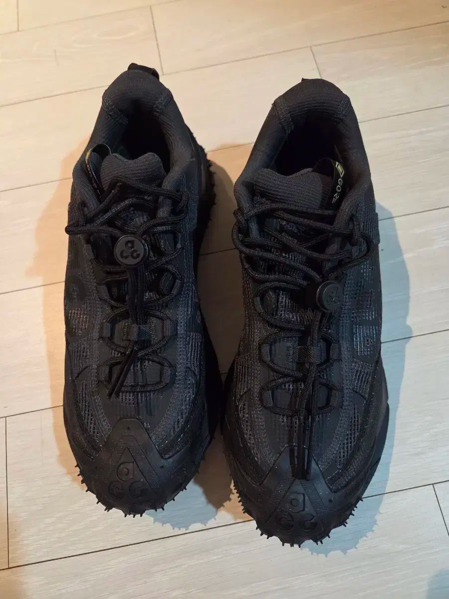 ナイキ NIKE ACG マウンテン マウンテン フライ フライ 2 ロー ゴアテックス GORE-TEX 240