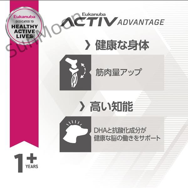 前に ユーカヌバ