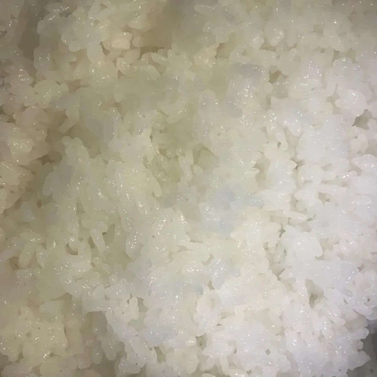 新米【丹波篠山コシヒカリ】白米/20㎏ 令和5年産〈単一原料米〉食味値