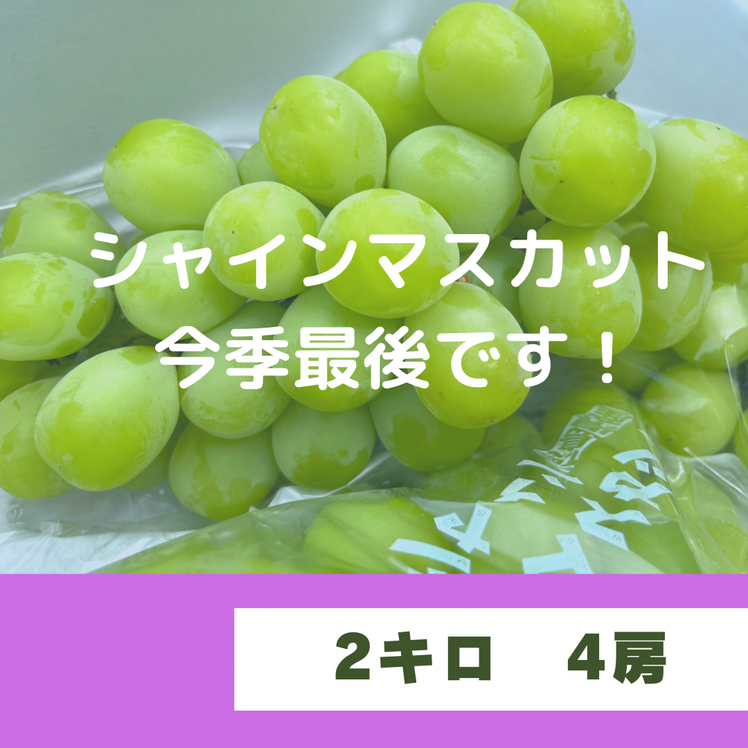 茶器 セット ガラスポット テーカップ 耐熱透明02022 - 食器