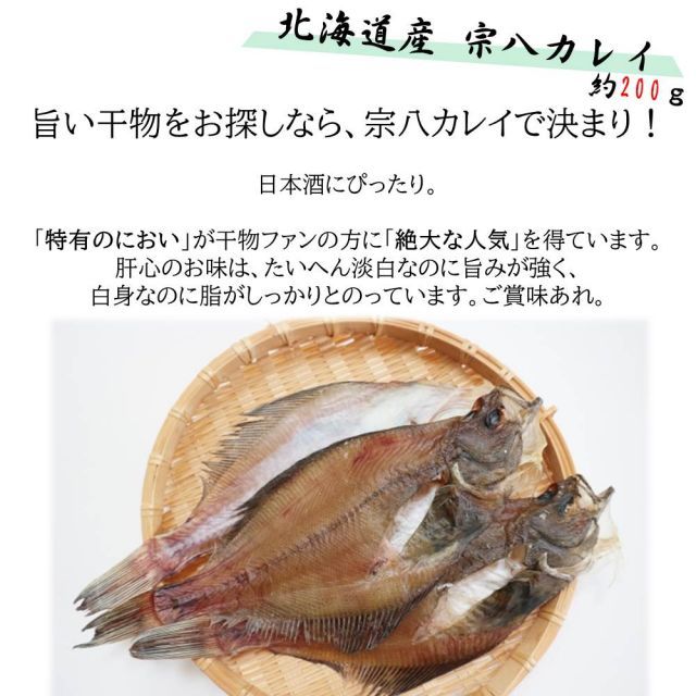 海の幸10点