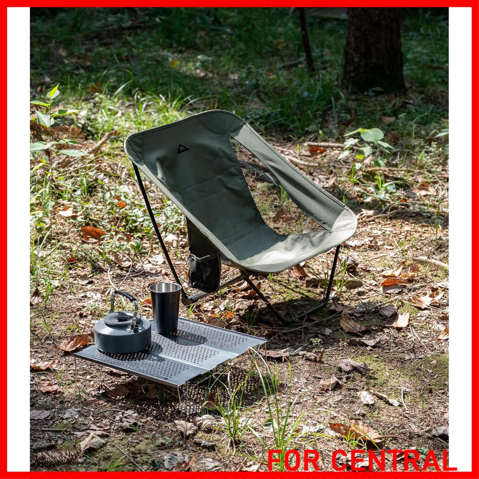 Helinox アウトドアチェア 収納ケース付き Helinox アウトドアチェア