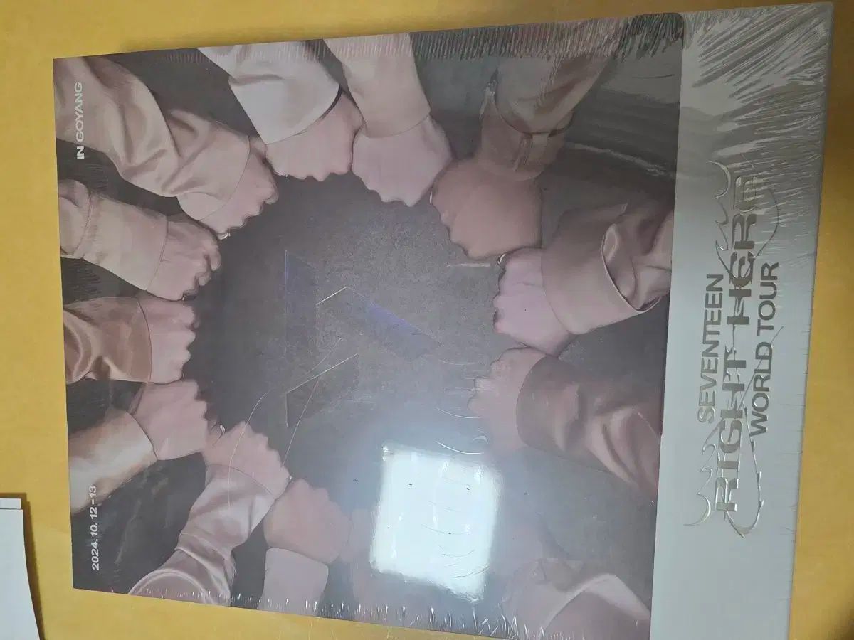 SEVENTEEN WORLD TOUR RIGHT HERE