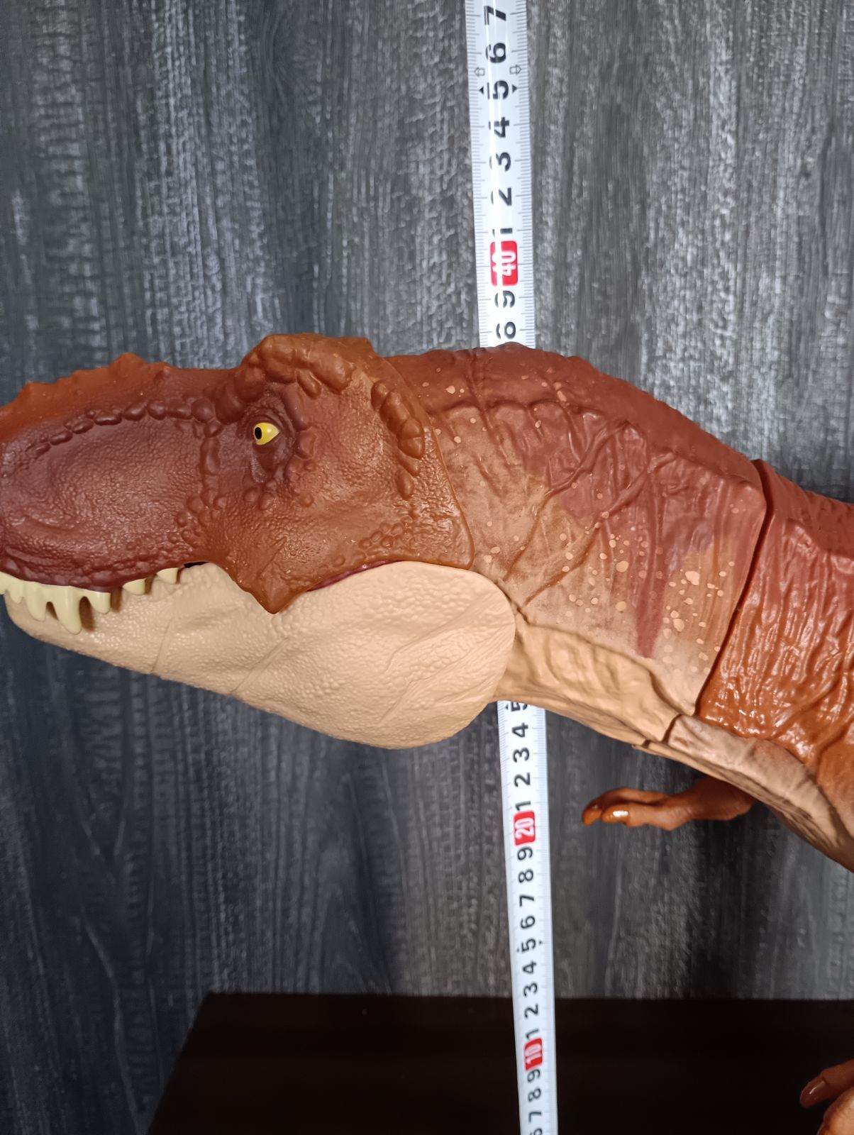 T-レックス FMM63