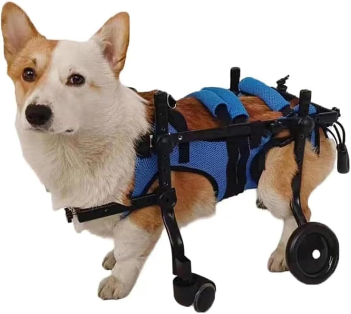 犬用車椅子 4輪 犬用歩行器 犬用 車いす ペット|猫|犬カート サイズ調整 愛犬の 車いす 犬補助歩行器 老犬介護 リハビリ 障害ペット 前足用 麻痺した後足のための犬補助歩行器 M XgERQS