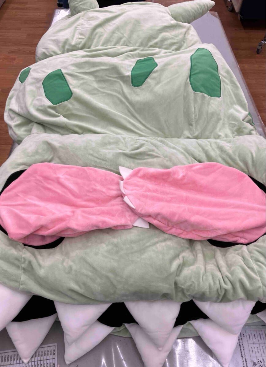 ポケモン メガヤドランになれるやぁん！？ 寝袋 どんどん どん