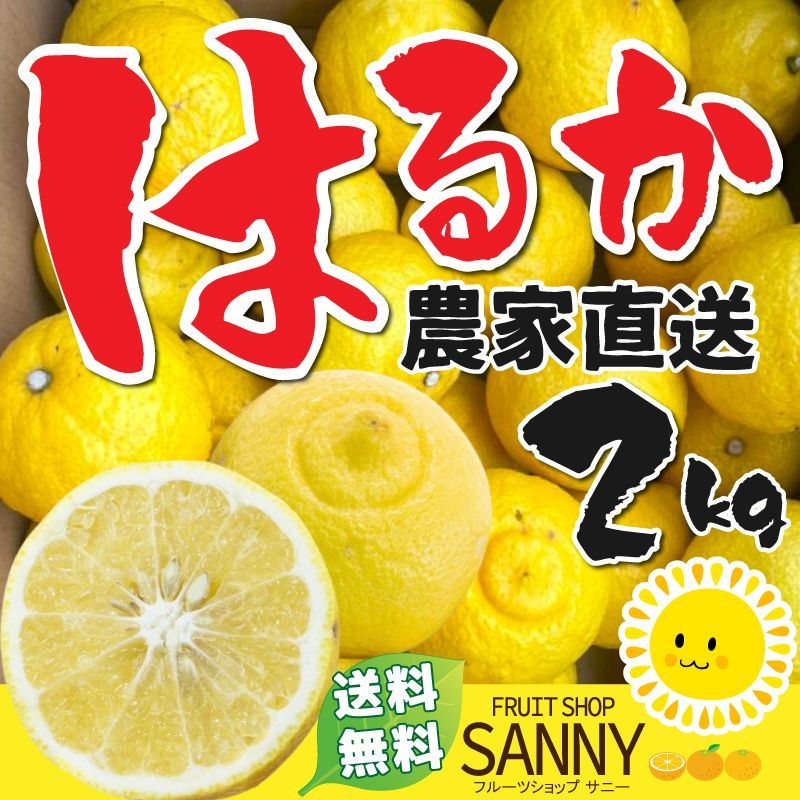 のサムネイル