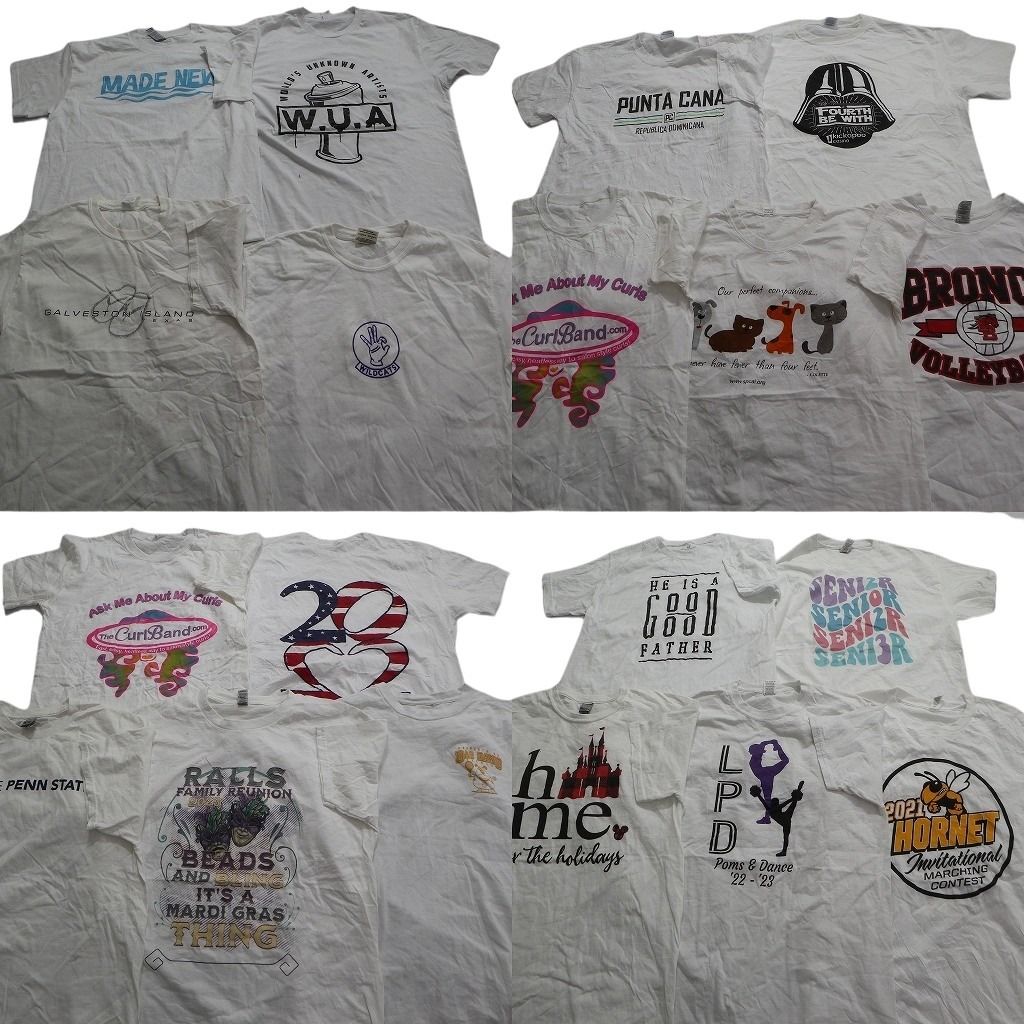 古着卸 まとめ売り 白ボディ プリント 半袖Tシャツ 19枚セット (メンズ M /L ) アニマルイラスト 星条旗柄 パロディ 中古 古着 MY0011
