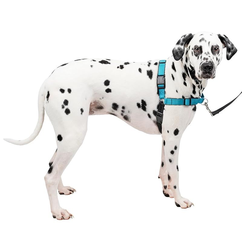 PetSafe ペットセーフ 犬用 ハーネス デラックスイージーウォークハーネス L オーシャンブルー|ブラック 引っ張り防止 散歩 トレーニング 1