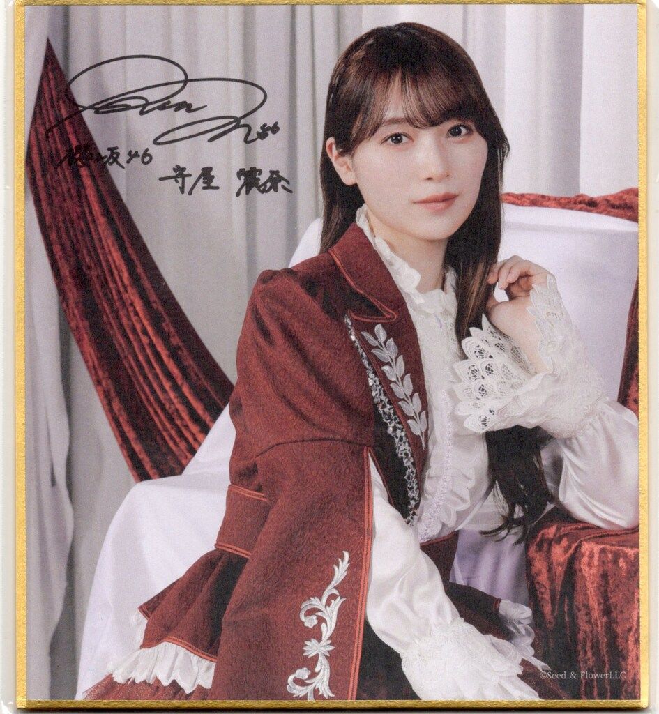 櫻坂46 5th TOUR 2025 “Addiction” 守屋麗奈 【C賞】プリント