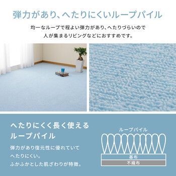 タフト 平織り