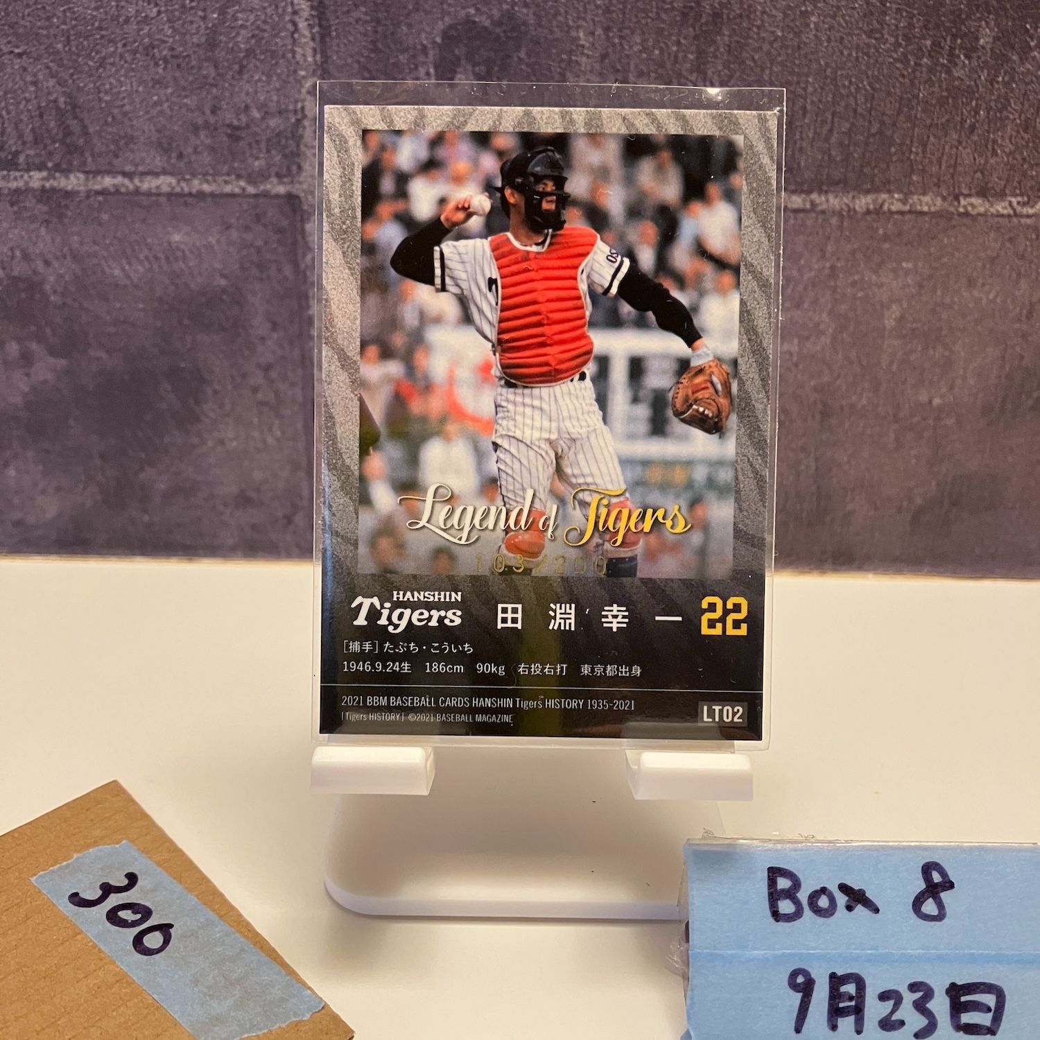 阪神タイガース　江夏と田淵のツーショットカード　激レア！【昭和レトロ　折れあり】 カルビープロ野球カード1973年版 阪神タイガース江夏豊投手 田淵