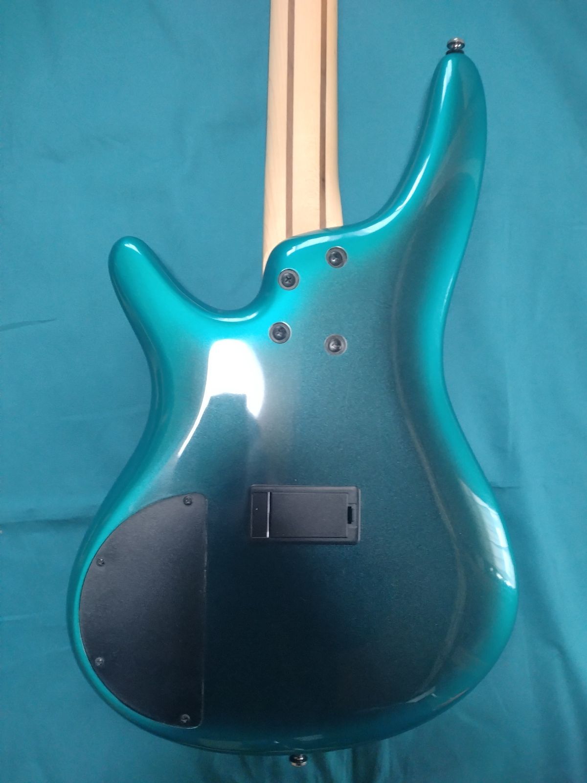 SR300E アイバニーズ