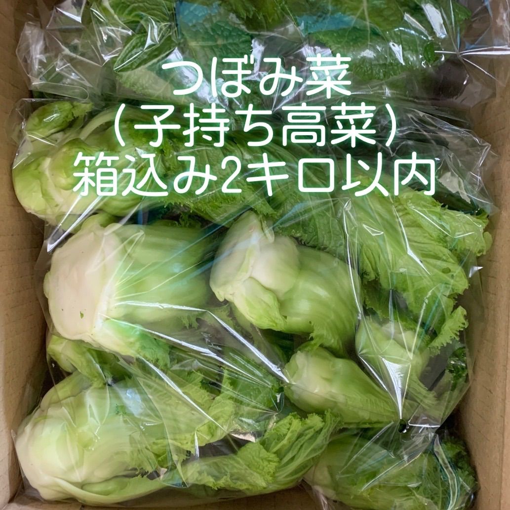 《入手困難》✨蕾菜✨（つぼみな）／四川児菜／子持ち高菜 800g