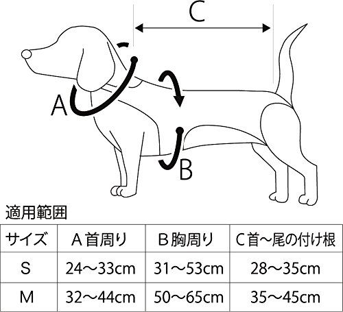 アニフル anifull