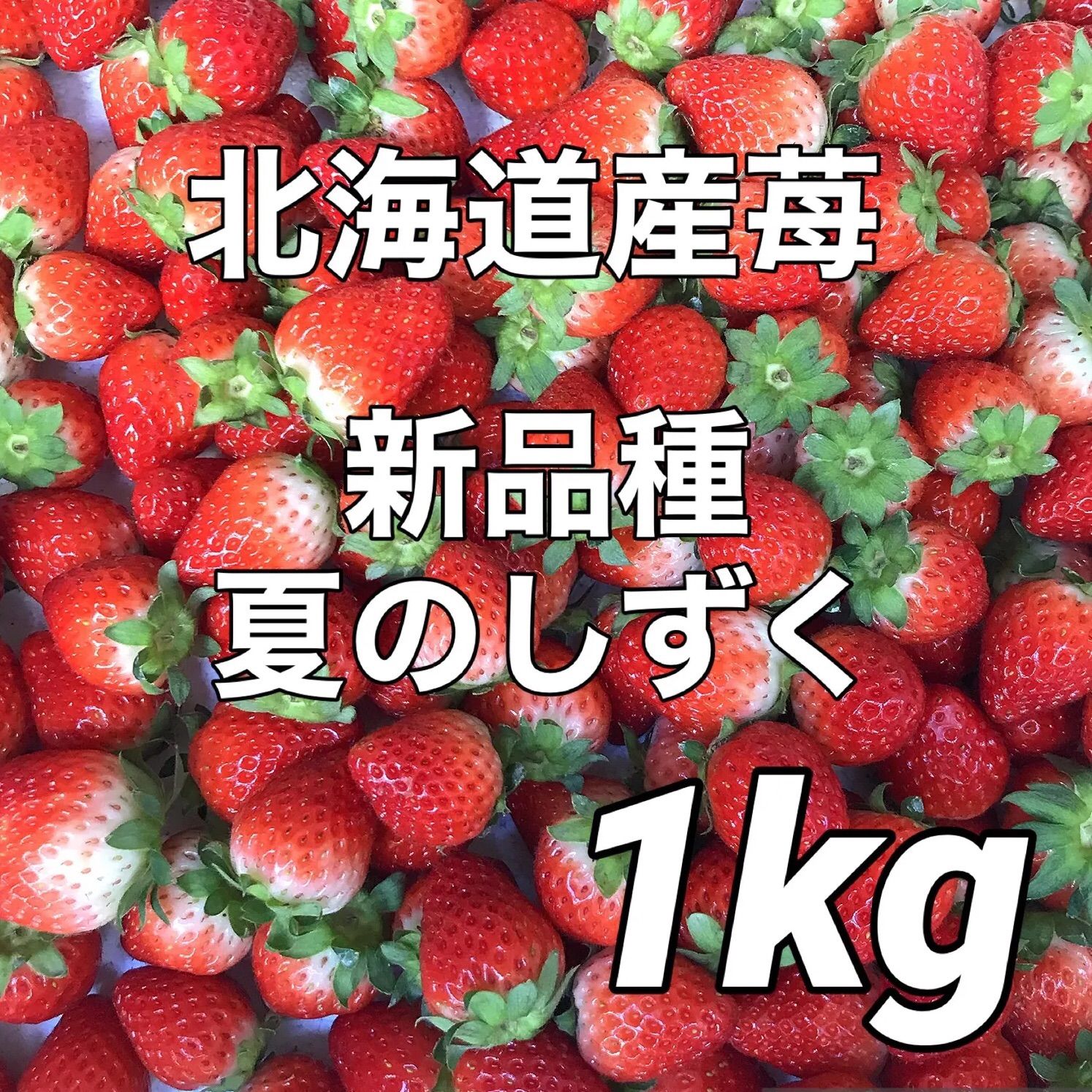 北海道栗山町産 ファームうかわ 超大粒苺 正品 箱込み1kg 生いちご イチゴ
