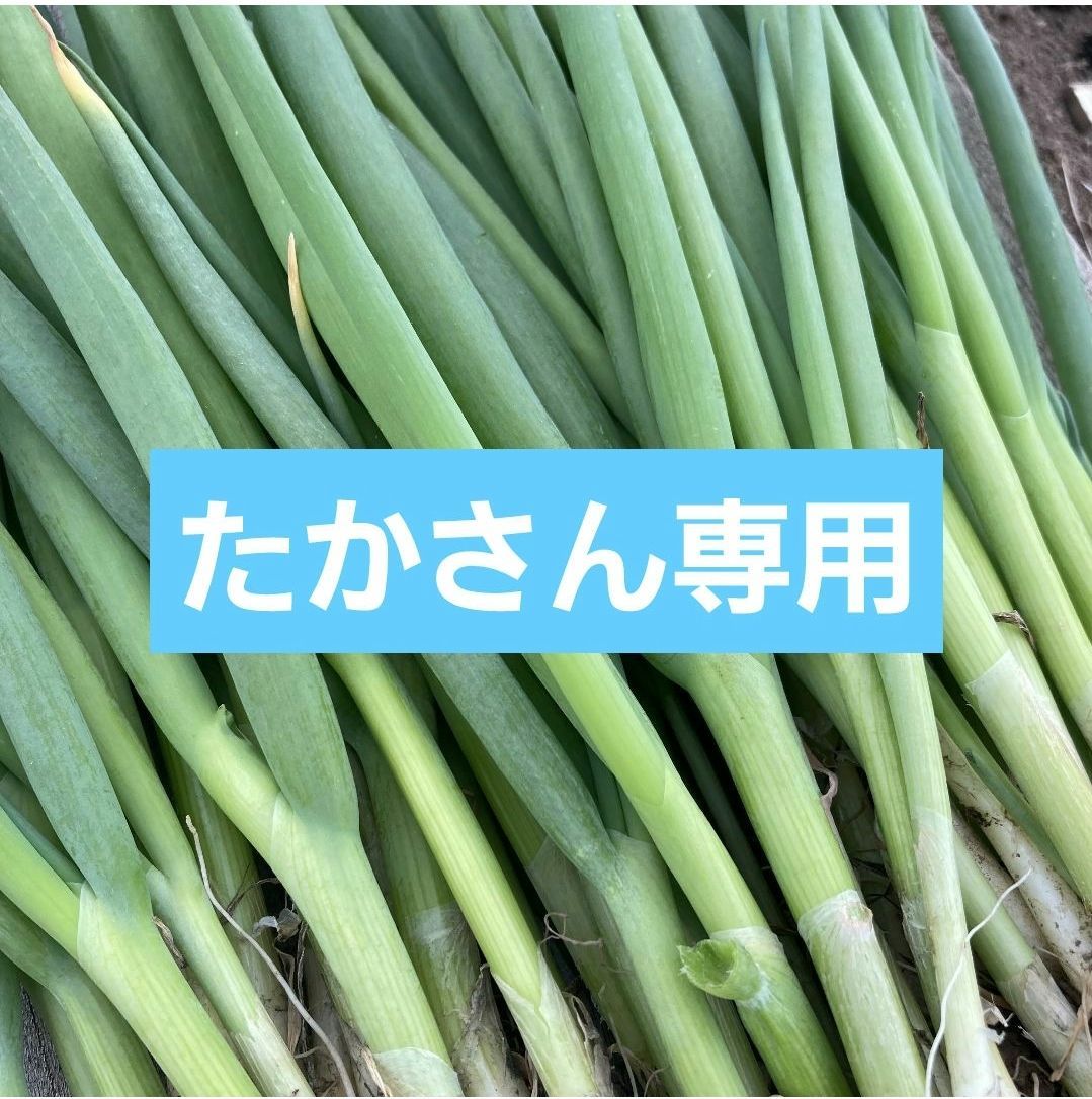 ねぎさん専用 ねぎさん専用 【公式通販】