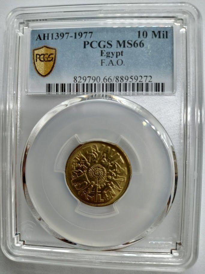 専用出品です。 専用出品】 専用出品売約済商品 専用出品です。 専用zX - メルカリ