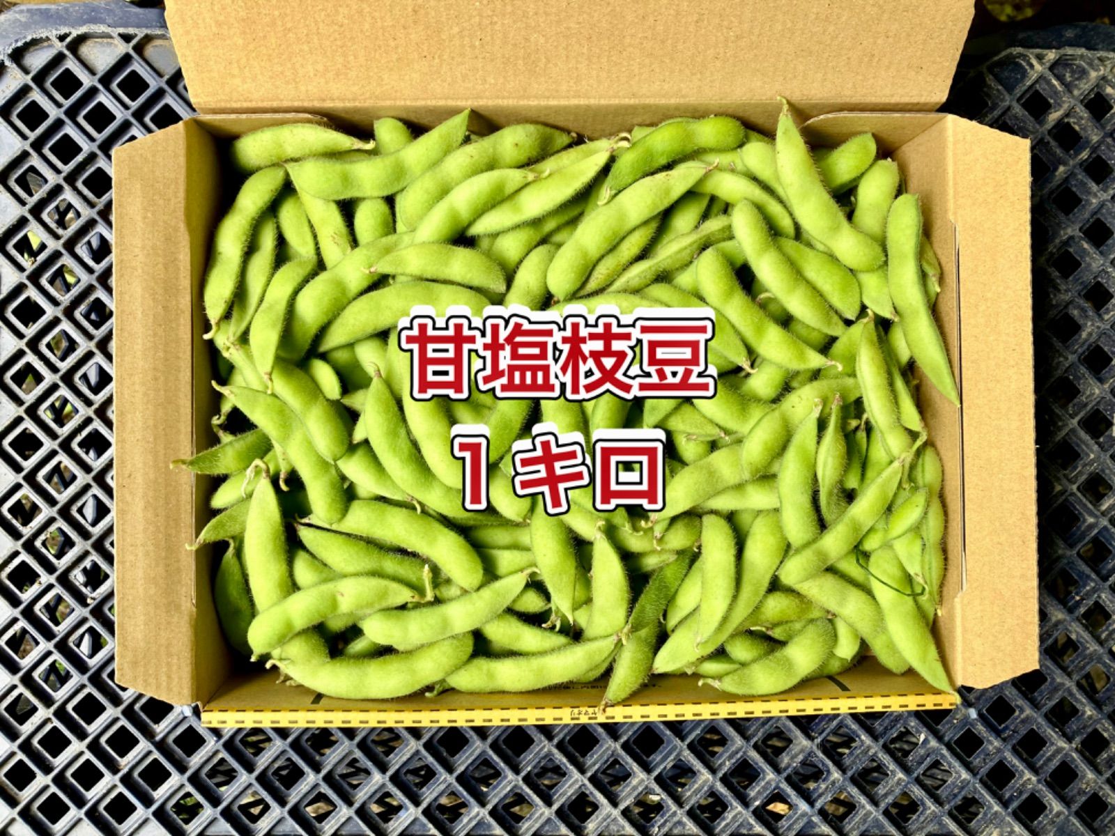 甘塩芽キャベツ箱込み1キロ^_^ - 野菜