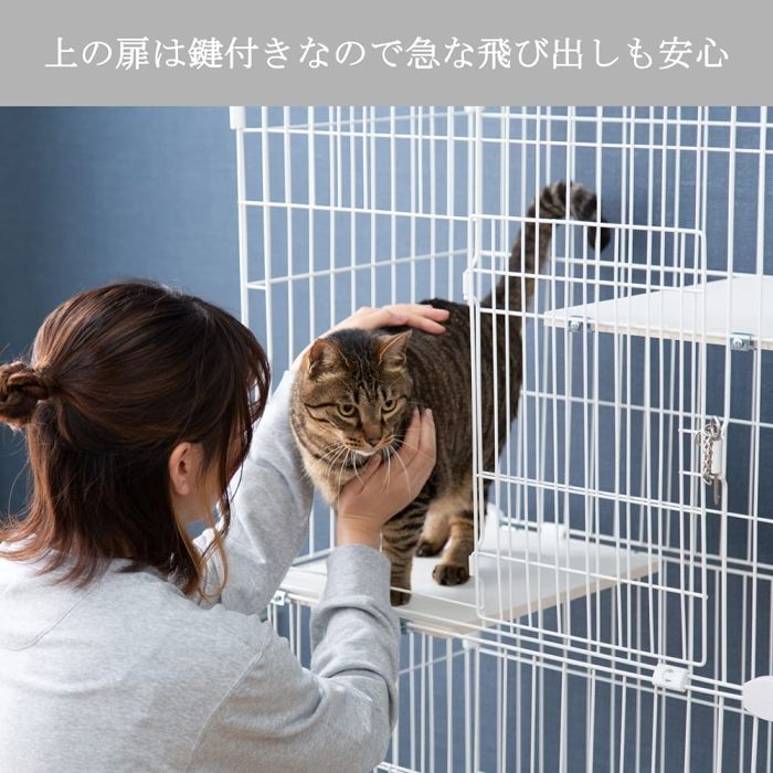 5営業日で発送 IRISOHYAMA