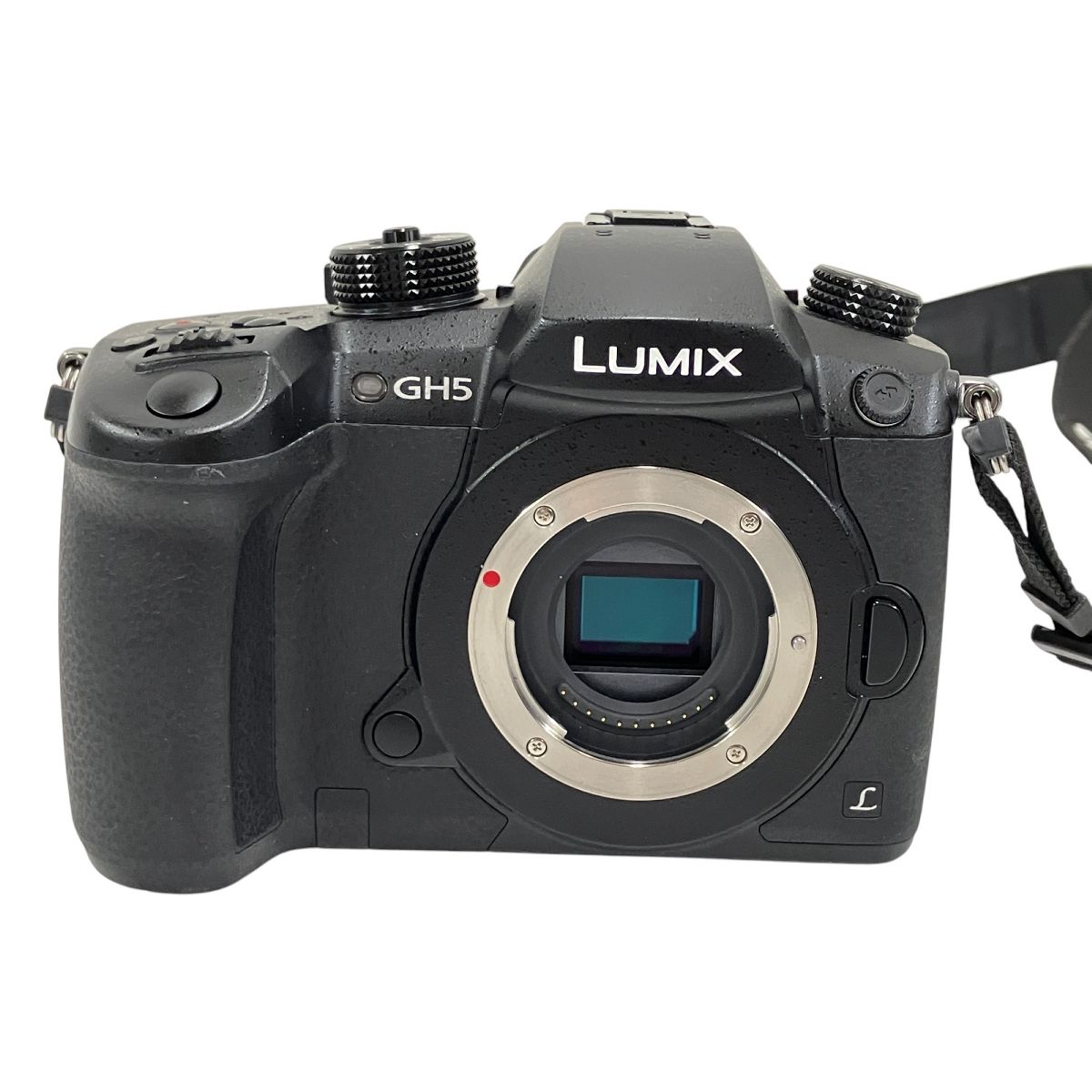 LUMIX DC-GH5M