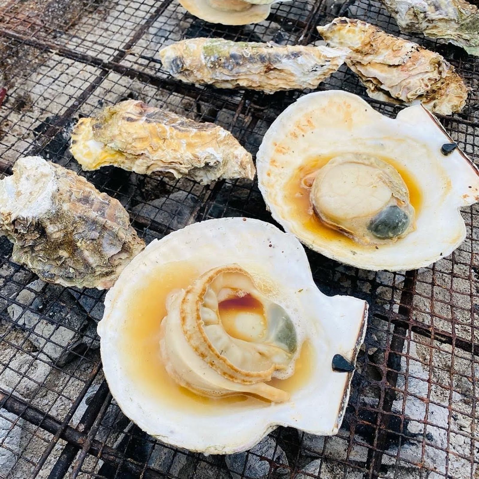 三陸産 ホタテ＆牡蠣セット 殻付きホタテ5枚 殻付き牡蠣1kg 三陸の肉厚ホタテと身入りの良い牡蠣 BBQにも最適！冷凍で旨味を閉じ込め日持ちも抜群！