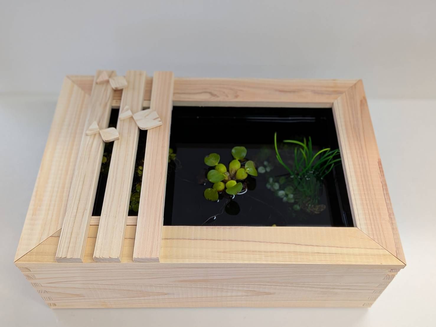 ひのき ビオトープ 木枠 蓋２枚 水槽セット メダカ