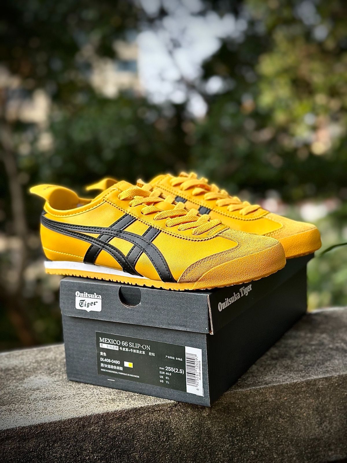 Onitsuka Tiger オニツカタイガー MEXICO 66 ローカット スニーカー 男女兼用 イエロー