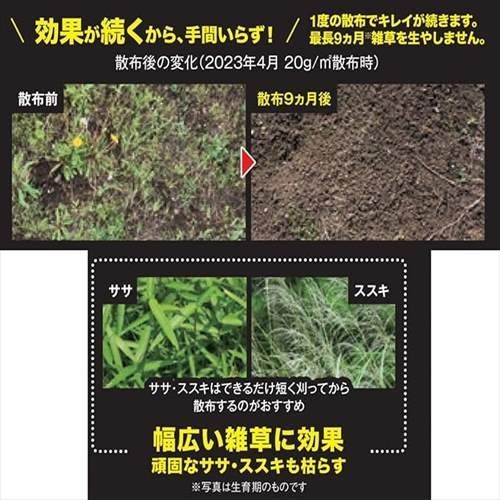 粒剤