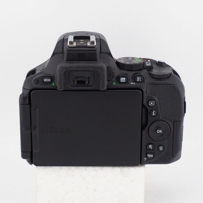 Nikon D5500