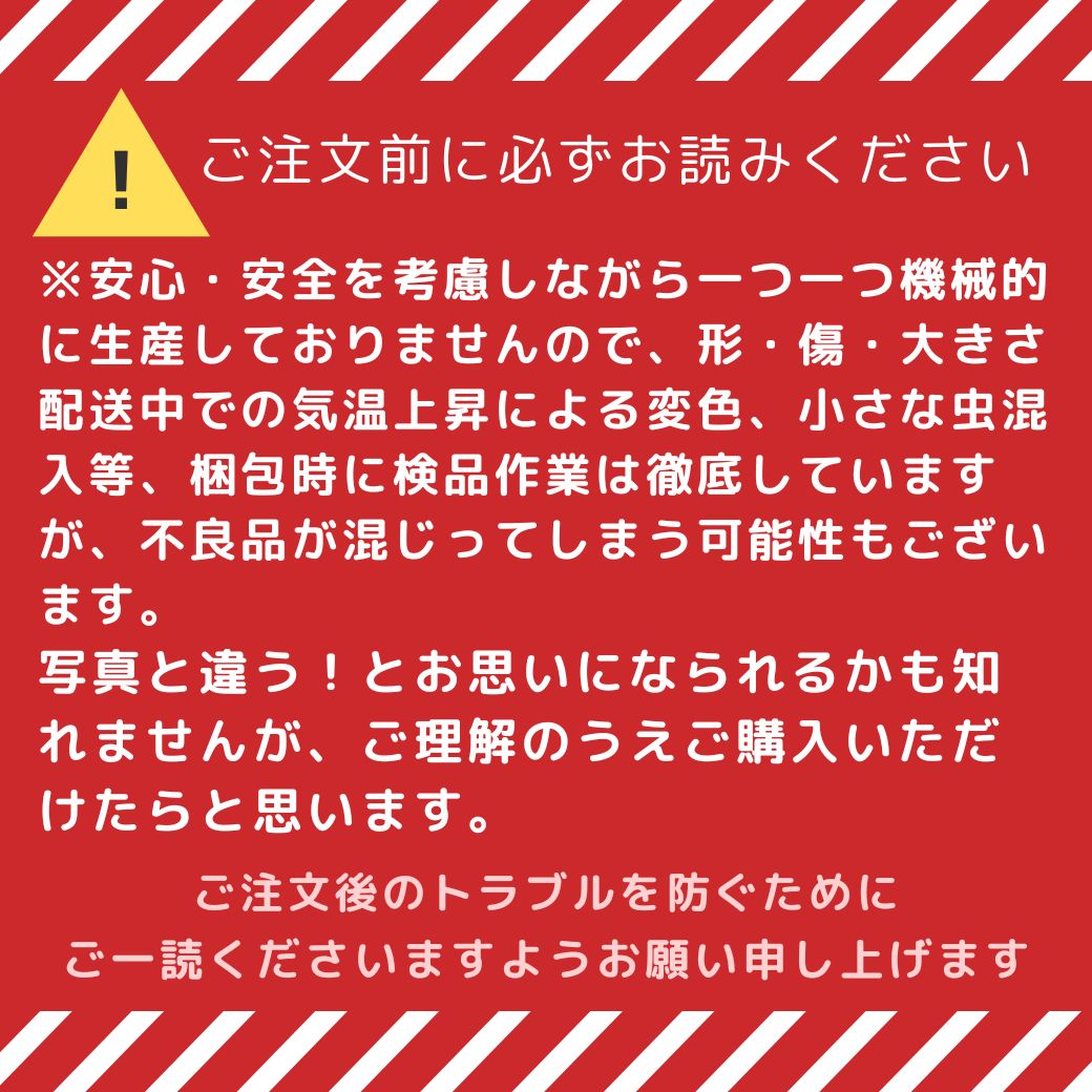 最終値下】玉ねぎ苗「ネオアース」500本 🌱🧅 - メルカリ