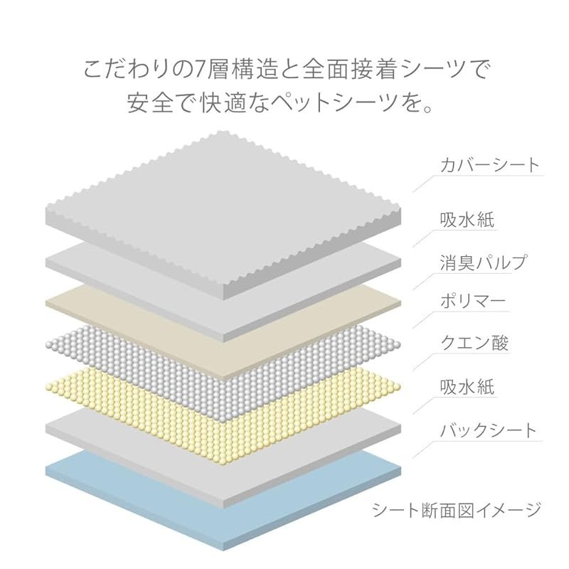 レギュラー