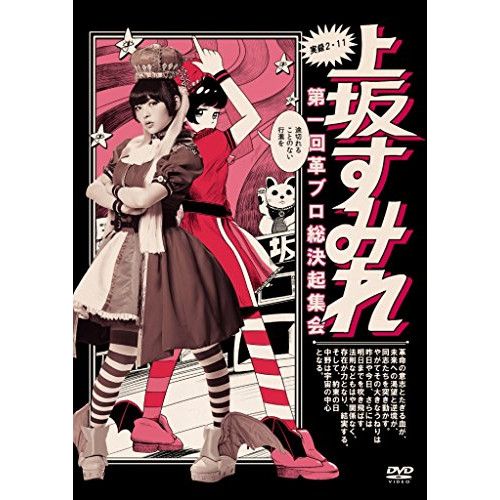 DVD 【DVD】上坂すみれ / 実録・2.11 第一回革ブロ総決起集会 (KIBM-441)