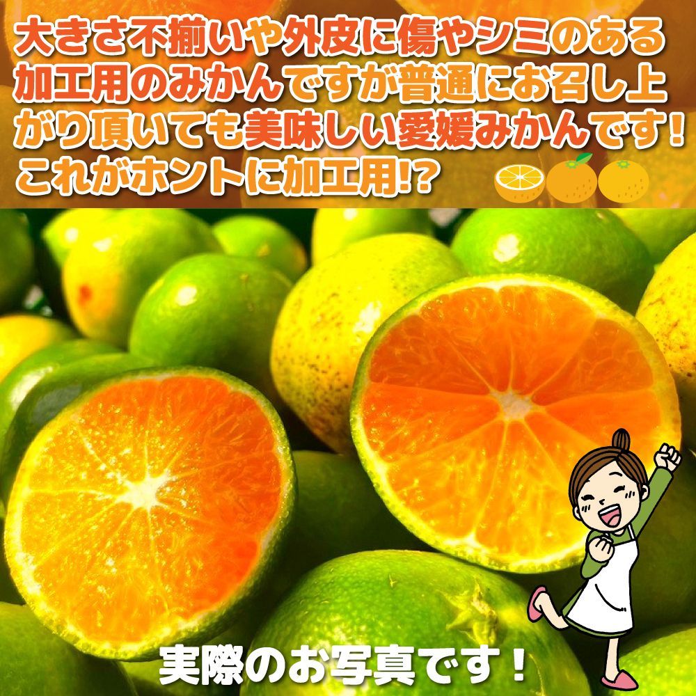 愛媛みかん（14日以内発送）特に訳あり 愛媛みかん10kg+保証分500g（合計 箱込10.5kg） 愛媛の農家・青果市場から直送！！ ※北海道・沖縄離島 発送不可