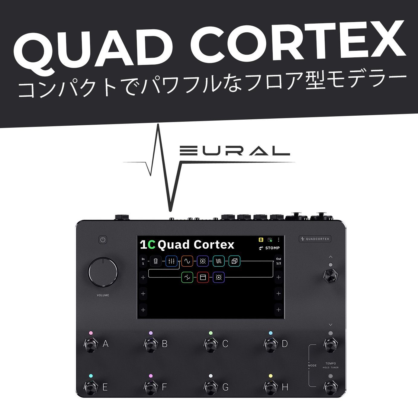 Quad Cortex 国内正規品 Neural ありがた DSP