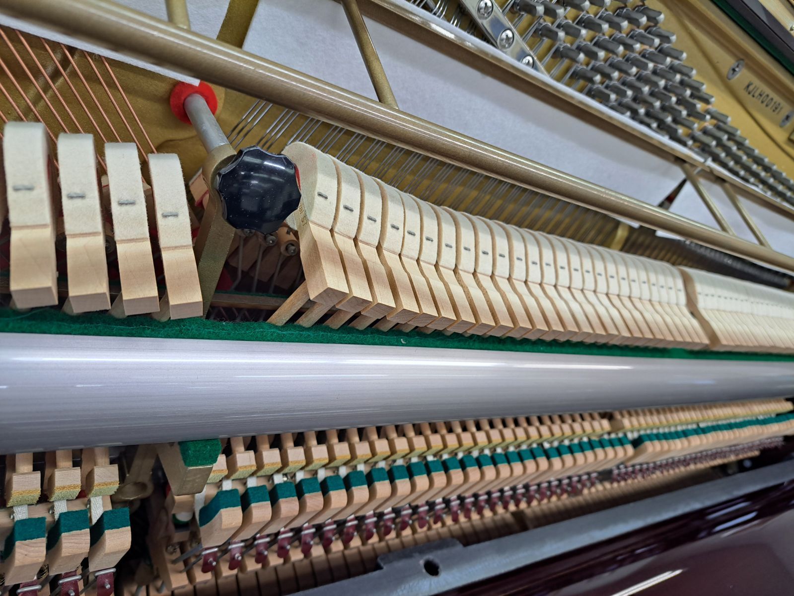 クリーニング済み