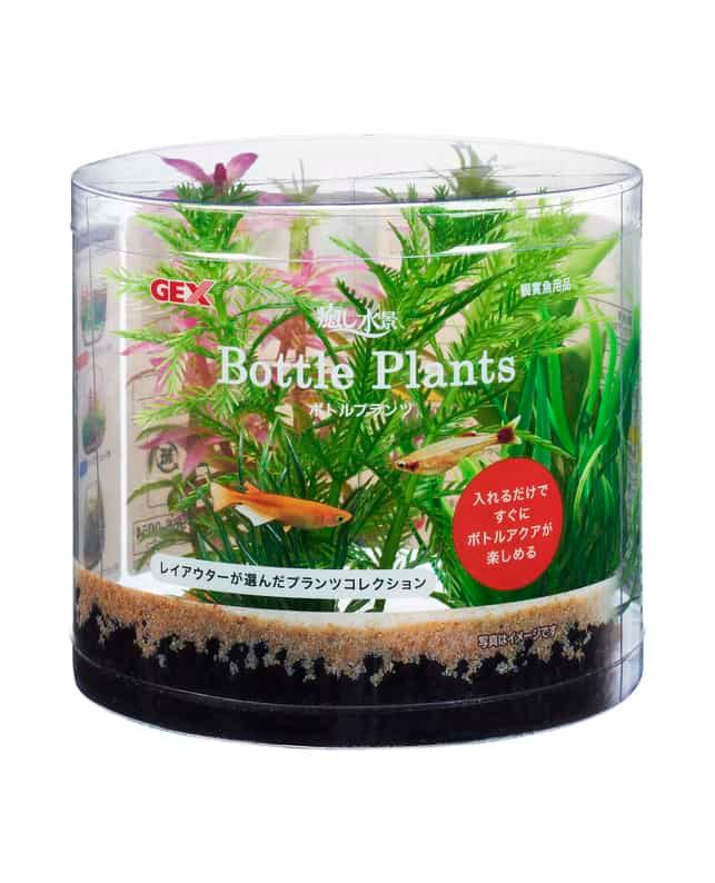 アンリジロー MV14