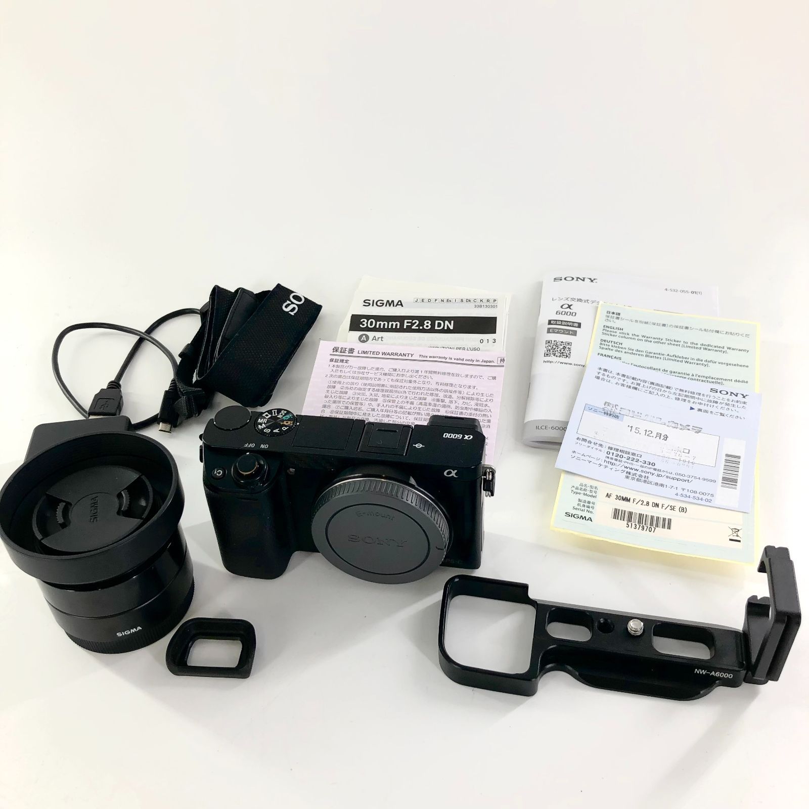 Sony a6000ミラレスカメラ、SIGMAレンズ