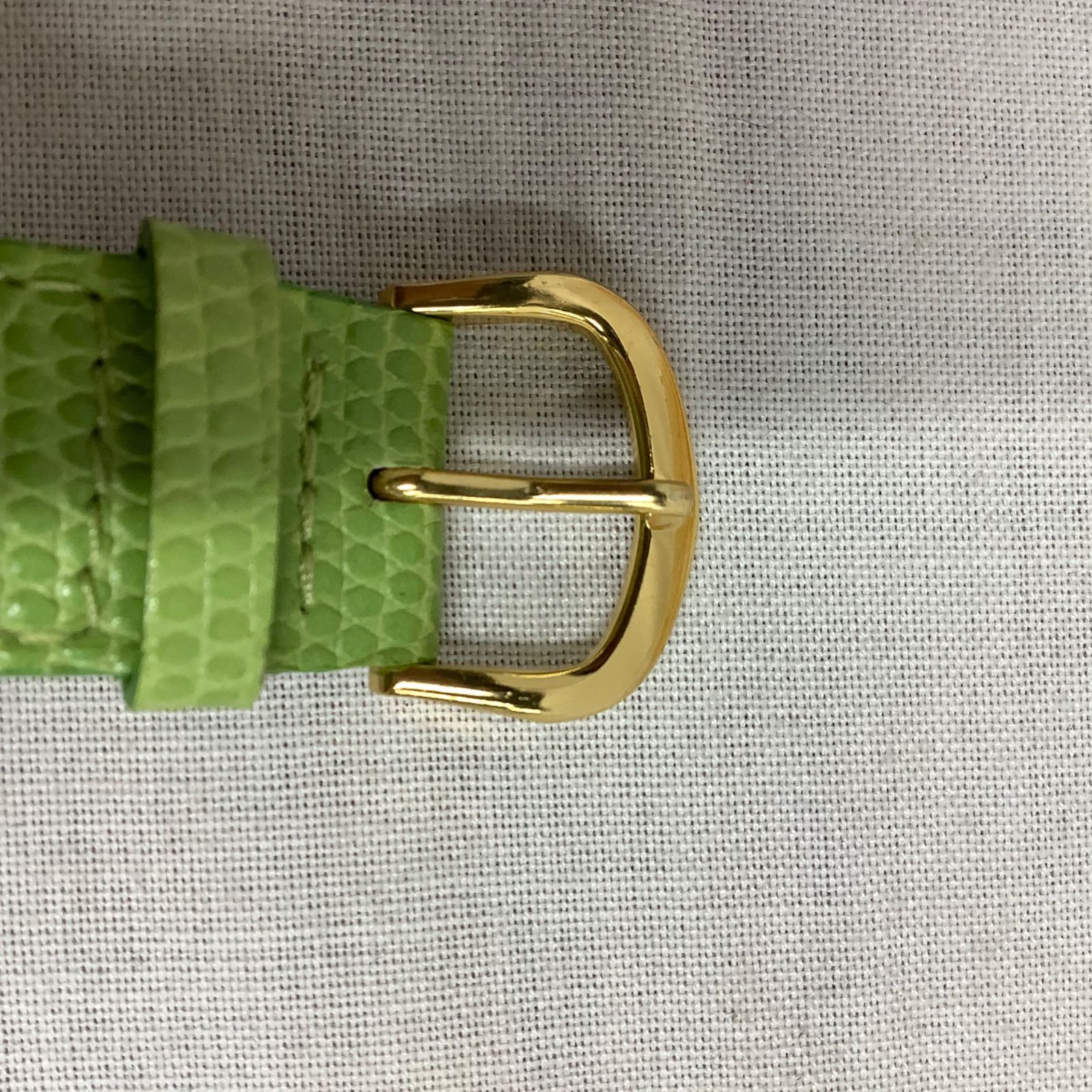 Pierre Lannier 動物シリーズ 限定品】Pierre Lannier （ピエールラニエ）腕時計 クォーツ