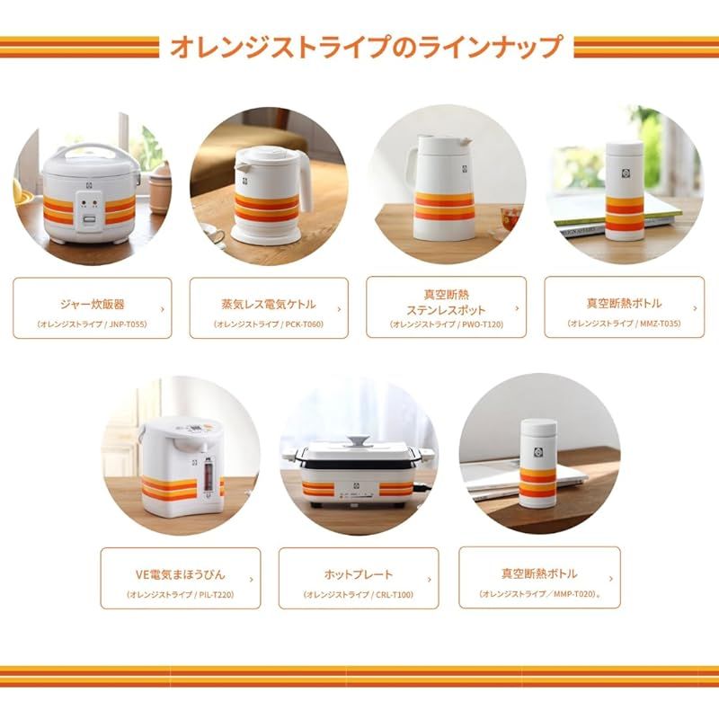 WEB 100周年記念モデル