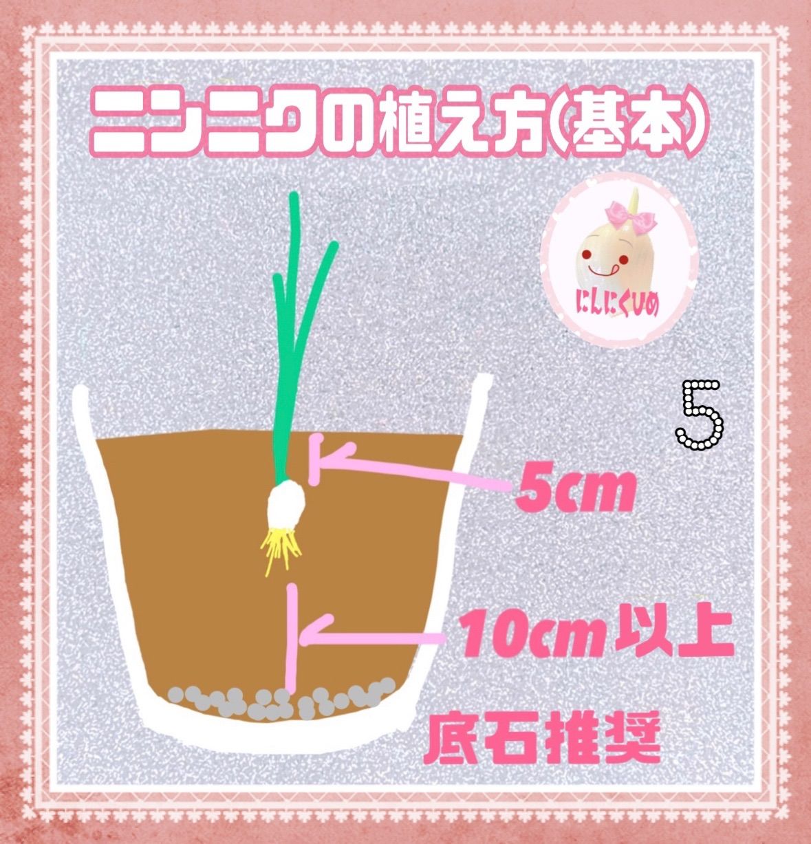 36球分　金郷種　最強かも？　食用兼用　バラシて即出荷　にんにくひめ　にんにく 36球分 金郷種 最強かも？ 食用兼用 バラシて即出荷 にんにくひめ