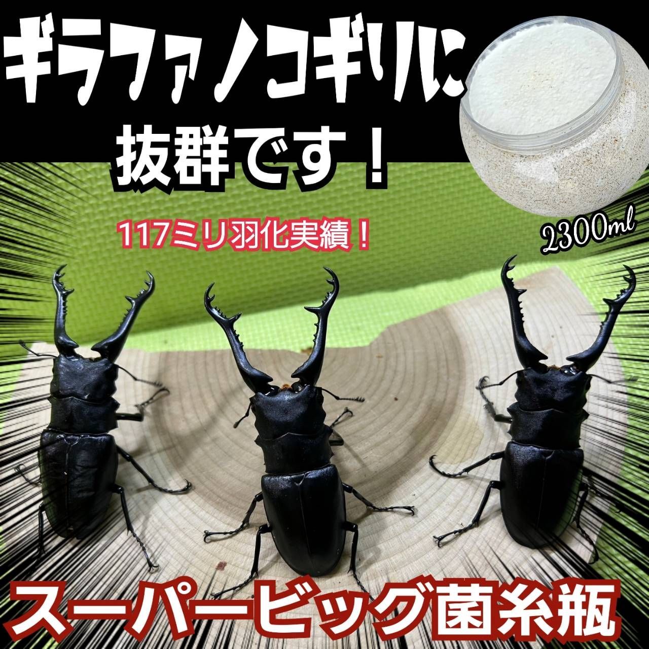 大型クワガタを羽化させたい方に！ スーパービッグサイズ菌糸瓶 2300ml