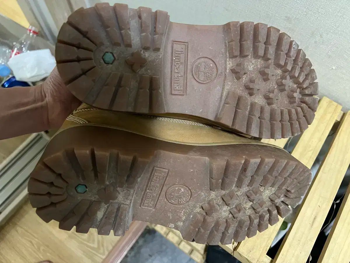6 インチ