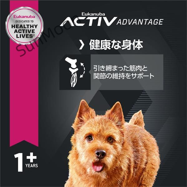 小型犬用 1歳以上