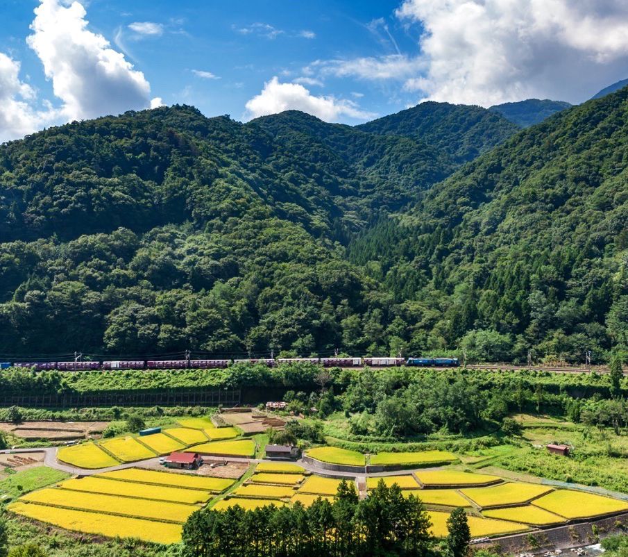 農薬８割減】天日干し はざかけ コシヒカリ 山梨産【白米・七分・玄米