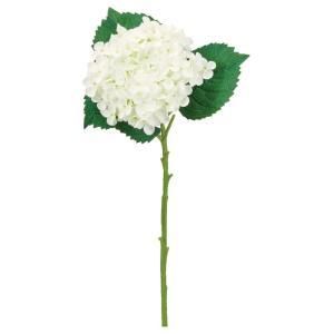 3営業日で発送 アスカ Asca ハイドランジア A-35204-001 入数 24