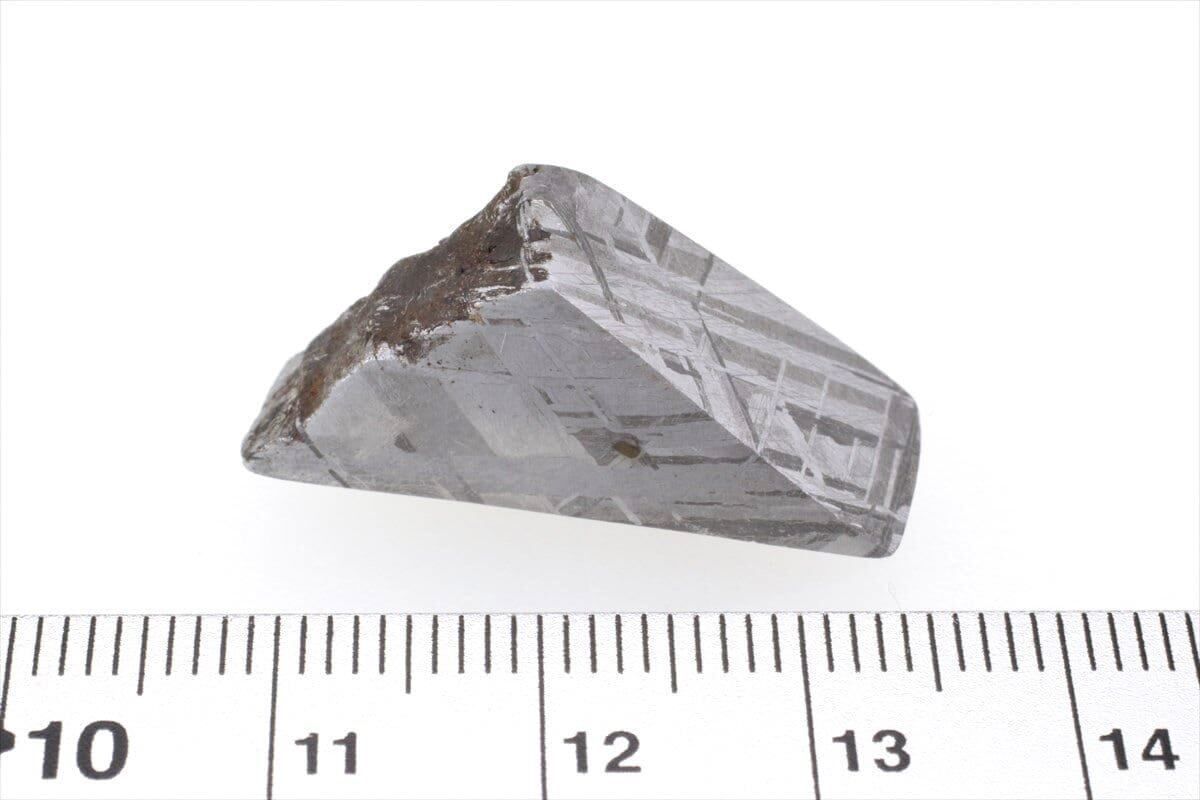 ムオニナルスタ隕石　ムオニオナルスタ隕石　この大きさ！この重量感！ ムオニナルスタ隕石 ムオニオナルスタ隕石 この大きさ！この重量