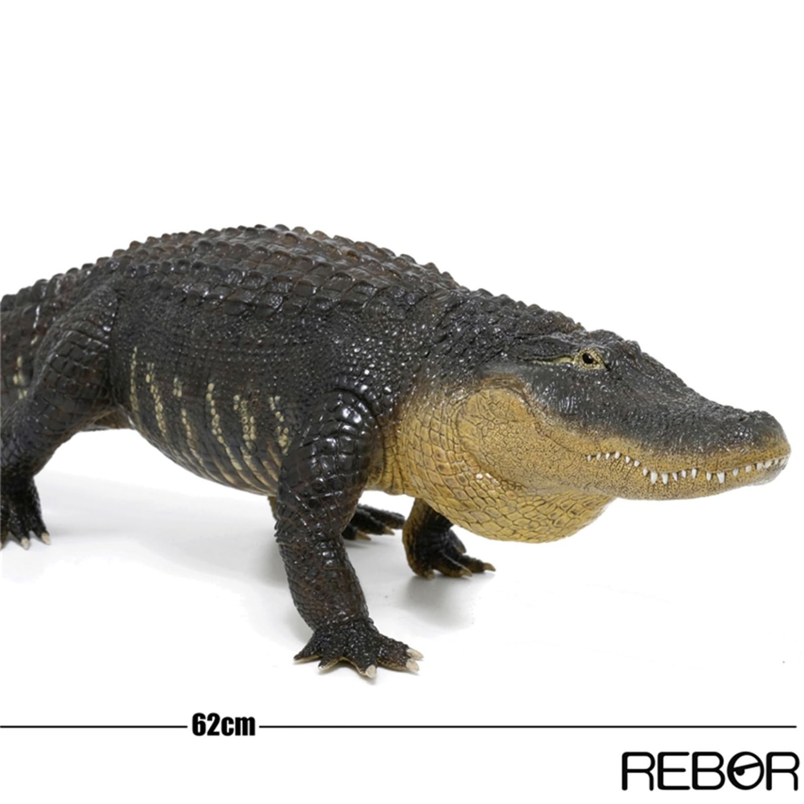 リアルワニ模型 REBOR 1/6 アメリカアリゲーター 動物 ワニ フィギュア模型