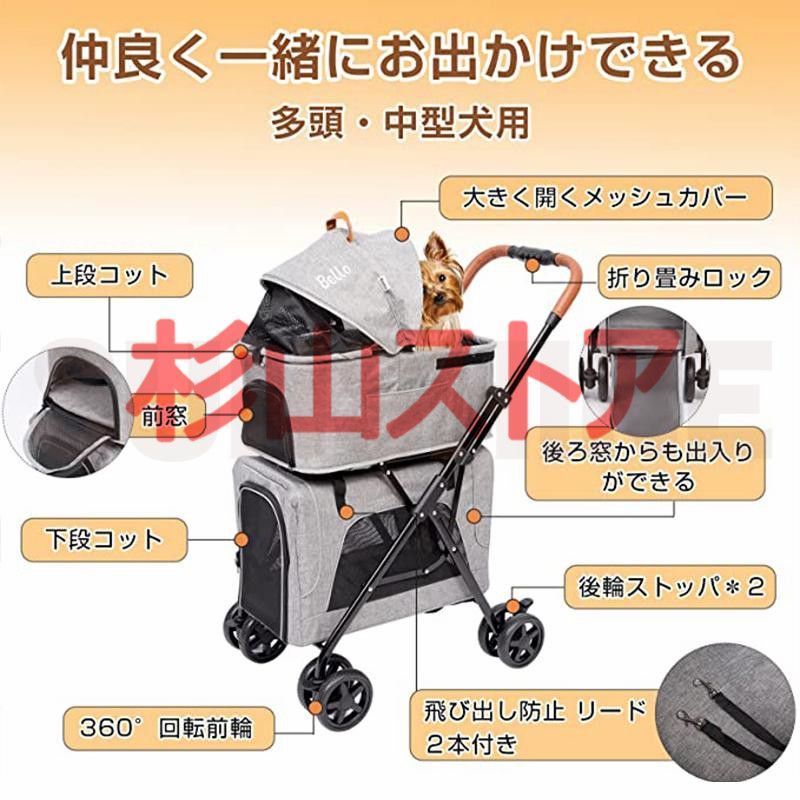 小型犬 中型犬